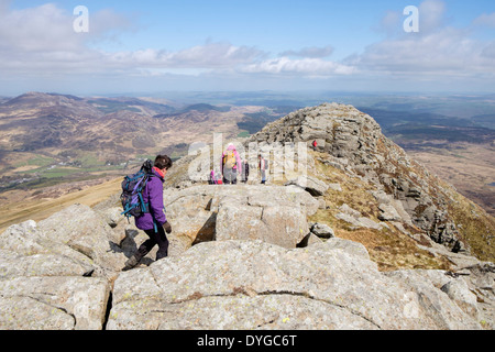 Wanderer, die Kriechen, über Felsen auf Carnedd Moel Siabod Ridge in den Bergen von Snowdonia National Park (Eryri) über Capel Curig Wales UK Stockfoto