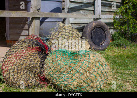 Mehrere verrechnet Heu Futter für Pferde Stockfoto