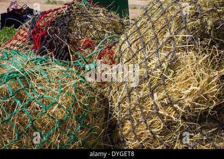 Mehrere verrechnet Heu Futter für Pferde Stockfoto