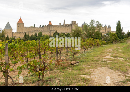 Mittelalterlichen Stadt Carcassonne und Weinberge in Frankreich. Es ist UNESCO-Weltkulturerbe. Stockfoto