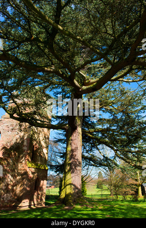 Das Gelände des Acton Burnell Burg, befestigte ein 13. Jahrhundert Herrenhaus, in der Nähe von Acton Burnell, Shropshire, England. Stockfoto