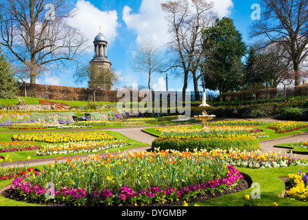 Die Dingle im Frühling, einen Garten innerhalb der Steinbruch, Shrewsbury, Shropshire. Stockfoto