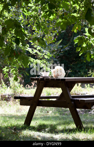 China Wasserglas und einen Strauß Rosen auf einem Gartentisch Stockfoto