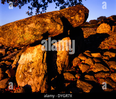 Dyffryn Ardudwy Grabkammer Grab Snowdonia Gwynedd Wales UK Stockfoto