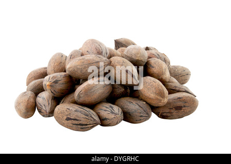 Haufen von neu kommissionierte Pekannüsse auf weiß Stockfoto