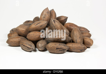 zufällige Haufen neu kommissionierte Pekannüsse Stockfoto