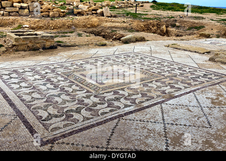 Antiken Mosaiken an der archäologischen hellenistischen und römischen Site bei Kato Paphos in Zypern. Stockfoto