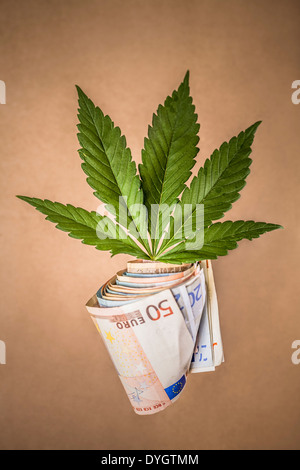 Marihuana-Business-Konzept. Cannabisblatt und Euro-Banknoten. Stockfoto