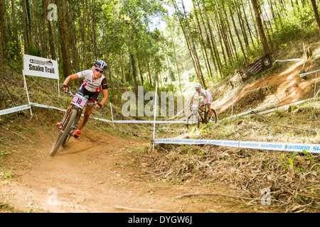 Schlange-Trail Stockfoto