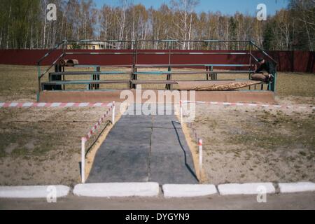 31. März 2014 - Kiew, Ukraine - am Ende der Show. Die militärischen Show wurde in der Basis des Novi Petrivsi in der Nähe von Kiew organisiert, um den Fortschritt des Trainings der ukrainischen Nationalgarde für Präsidenten Turchinov am 31. März zu bewerten. Nationalgarde der Ukraine NSU ist die Reserve-Komponente der Streitkräfte der Ukraine in die Zuständigkeit des Ministeriums für innere Angelegenheiten. Es war am 13. März 2014 inmitten wachsender Spannungen in der Ukraine, verursacht durch die militärische Intervention in der Krim durch Russland wiederhergestellt. Viele Demonstranten und Selbstverteidigungsgruppen von Euromajdan angemeldet und begann die tra Stockfoto