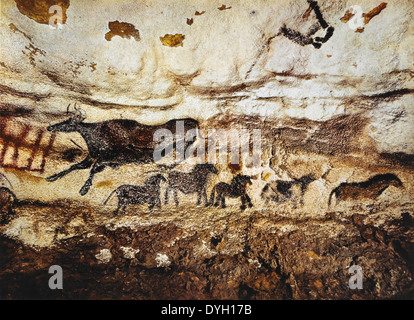 Höhle Malerei der Kuh & Pferde, Lascaux, Frankreich Stockfoto