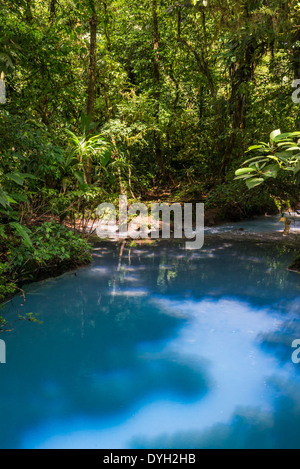 Unterschrift Türkis blaues Wasser in Rio Celeste fließt durch Wald, Tenorio Vulkan-Nationalpark, Costa Rica. Stockfoto