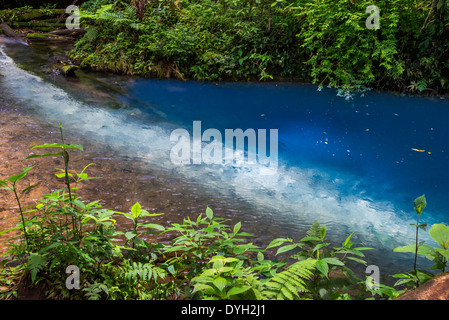 Quelle von der Signatur türkis blauem Wasser in Rio Celeste, Tenorio Vulkan-Nationalpark, Costa Rica. Stockfoto