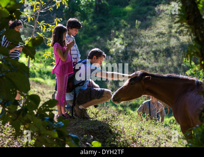 Eine Familie mit Kindern interagiert mit einem braunen Pferd. Das Mädchen ist ein Handy-Aufnahme. Stockfoto