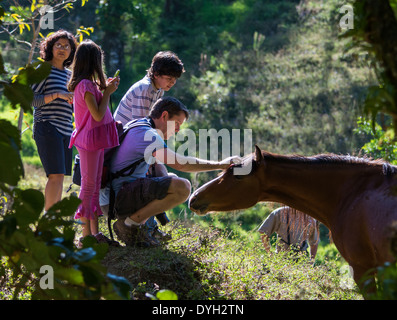 Eine Familie mit Kindern interagiert mit einem braunen Pferd. Das Mädchen ist ein Handy-Aufnahme. Stockfoto