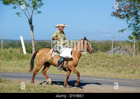 Mann Reitpferd Provinz Cienfuegos Kuba Stockfoto