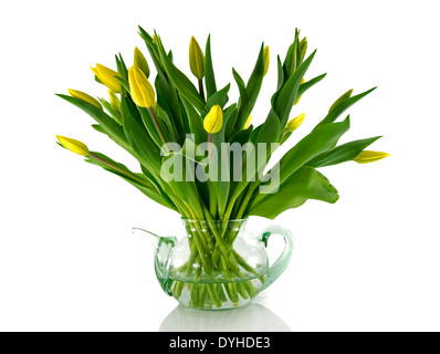 Glas Teekanne mit gelben Tulpen, isoliert auf weiss Stockfoto