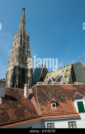 Österreich, Wien 1, Singerstraße 7, Dach des Deutschordenshauses Und Stephansdom Stockfoto