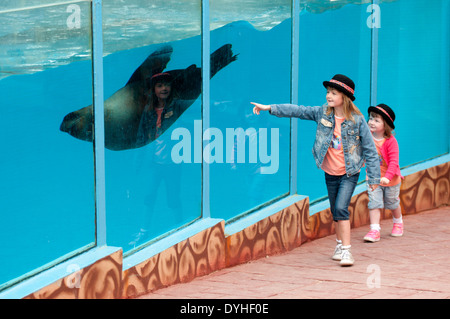 Zoomarine in der Nähe von Guia - Albufeira in der Algarve in Portugal. Stockfoto