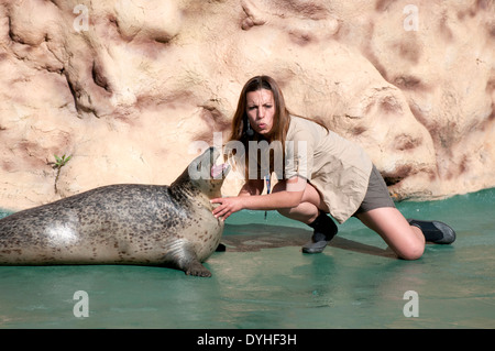 Zoomarine in der Nähe von Guia - Albufeira in der Algarve in Portugal. Stockfoto