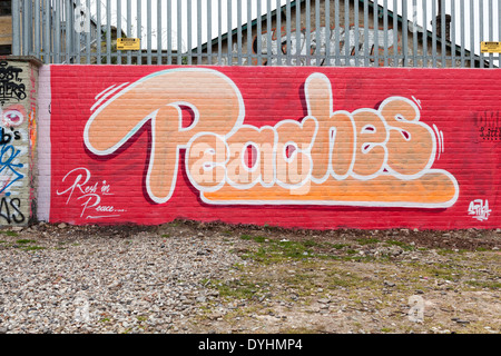 Street-Art Hommage an Peaches Geldof in Shoreditch, London Stockfoto