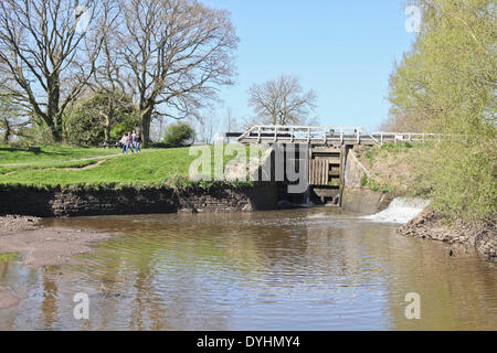 Chorley, Lancashire, Uk. 18. März 2014. Center-Kanal Pfund leert durch Kanal sperren Scheitern Credit: Sue Burton/Alamy Live News Stockfoto