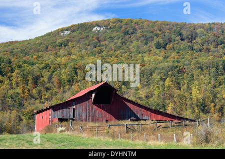 Rote Scheune in grasbewachsenen Bucht im Cumberland County, Tennessee Stockfoto