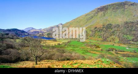 Llyn Gwynant See im Nantgwynant Tal Snowdonia Gwynedd North Wales UK Stockfoto