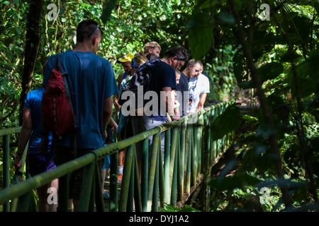 Gruppe von Besuchern zu Fuß über eine Brücke auf einer geführten Tour an der biologischen Station La Selva in Sarapiqui de Viejo, Costa Rica Stockfoto