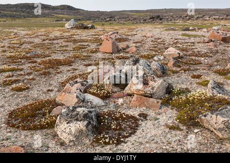 Kanada. Nunavut Gebiet, Ukkusiksalik-Nationalpark, Landschaft der arktischen Tundra entlang der Wager Bay am Sommerabend Stockfoto