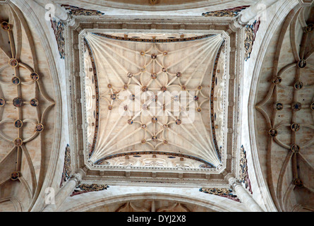 Kuppel des Kloster Kirche von San Esteban Kloster 1692 von José de Churriguera, Salamanca, Castilla y León Spanien gegründet. Stockfoto