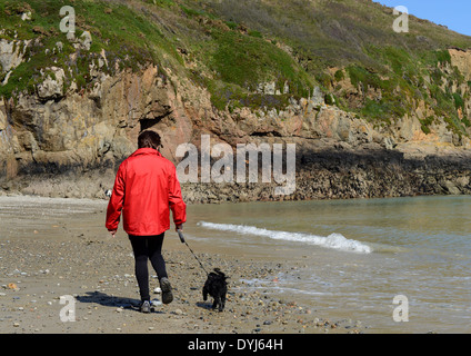 Frau im roten Mantel, einen Hund am Strand spazieren gehen Stockfoto