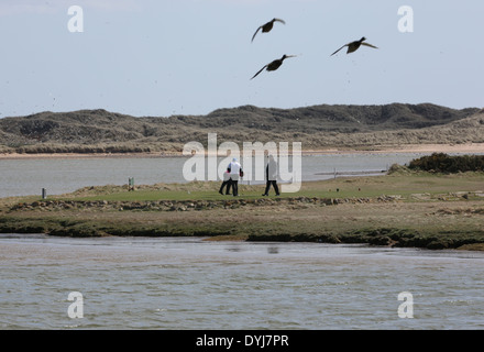 Golfer spielen auf Newburgh Golf Course in Dorf von Newburgh, Aberdeenshire, Schottland, Großbritannien, als drei Enten fliegen über Kopf Stockfoto