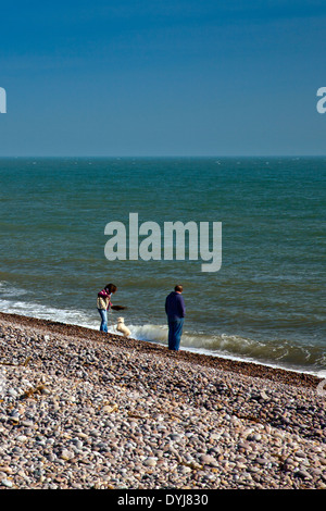 Hund Spaziergänger am Strand bei Budleigh Salterton, Devon, England, UK Stockfoto