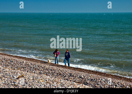 Hund Spaziergänger am Strand bei Budleigh Salterton, Devon, England, UK Stockfoto