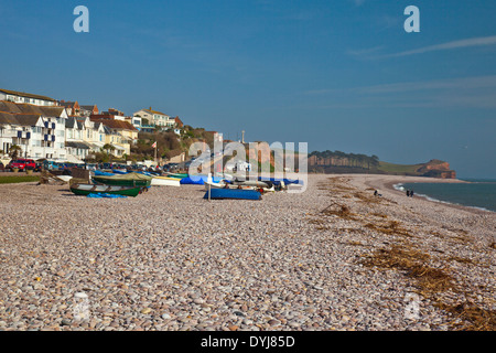 Angelboote/Fischerboote am Strand von Budleigh Salterton, Devon, England, UK oben geschleppt Stockfoto