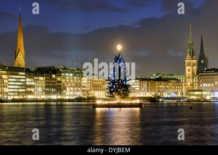 Alstertanne Auf der Binnenalster in Hamburg, Deutschland, Europa Stockfoto