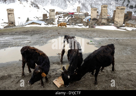 Alte Svanetian schützenden Türmen Häuser im Dorf Ushguli eine der höchsten kontinuierlich bewohnten Siedlungen in Europa an der Spitze des Enguri Schlucht in Svaneti, anerkannt als die obere Swanetien UNESCO Weltkulturerbe in der Republik Georgien Stockfoto