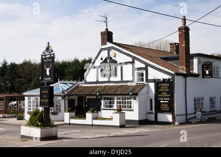 Das White Hart Pub Congresbury Somerset England UK Stockfoto