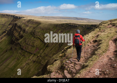 Weiblichen Hügel Walker Wandern in Richtung Waun Lefrith entlang Carmarthen Fans, Black Mountain, Wales Brecon Beacons Nationalpark Stockfoto