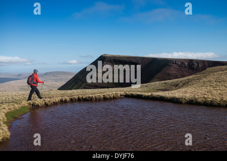 Weiblichen Hügel Walker Wandern in Richtung Gipfel des Fan Brycheiniog, Black Mountain, Wales Brecon Beacons Nationalpark Stockfoto