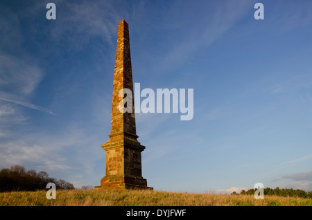 Wychbury Hill Obelisk, Worcestershire UK. Im morgendlichen Sonnenlicht mit einem Weitwinkel-Objektiv aufgenommen. Stockfoto