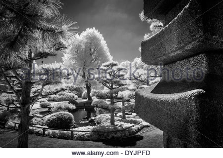 Japanischer Garten Dusseldorf Stockfoto Bild 68639878 Alamy