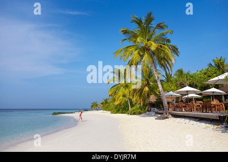 Malediven Insel, Ari Atoll Stockfoto