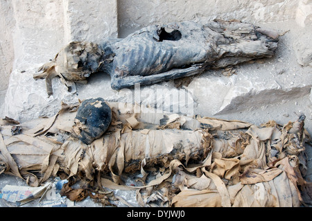Luxor West Bank, bleibt der Mumien aus einem Grab. Stockfoto