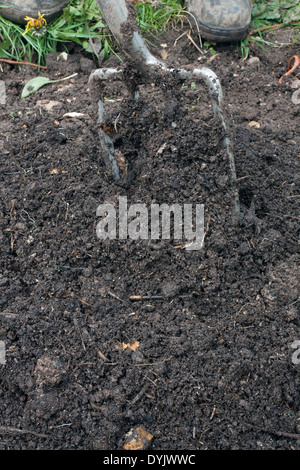 Pflanzung einer Zucchini-Sequenz. Schritt 1 hinzufügen "und" Gabel in gut verrotteten Kompost Stockfoto