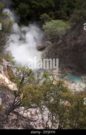 Wai-O-Tapu-Neuseeland Stockfoto