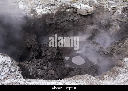 Wai-O-Tapu-Neuseeland Stockfoto