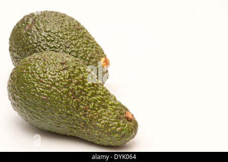 2 Avocado-Birnen isoliert auf weißem Hintergrund Stockfoto