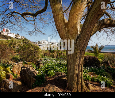 GB - DEVON: Torre Gärten in Torquay Stockfoto